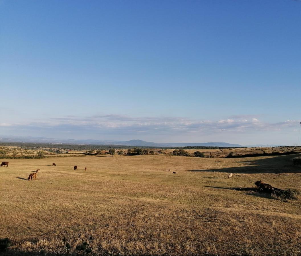 Deiana Bed and Breakfast Santu Lussurgiu Exteriör bild